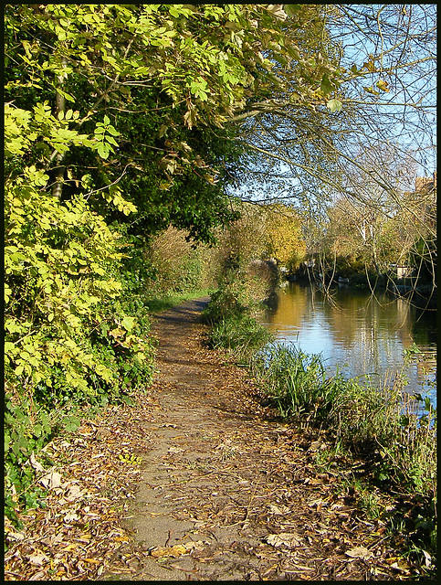 towpath north of Jericho