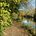 towpath north of Jericho