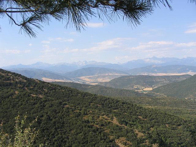 Pyrenees