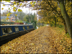 late November leaves