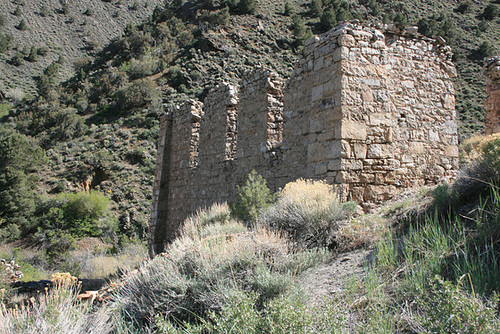 IMG 7840