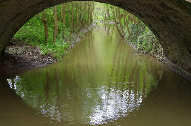 Under Dinham Bridge