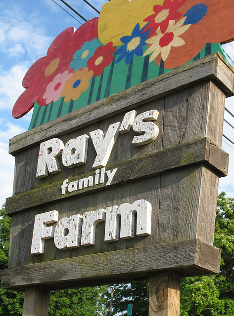 RAY'S family FARM