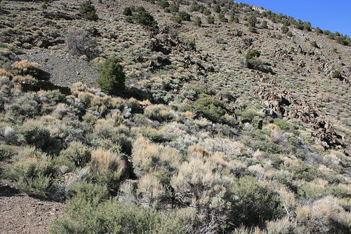 IMG 7841