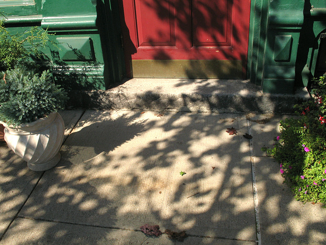 Shadows of Maple Street #3