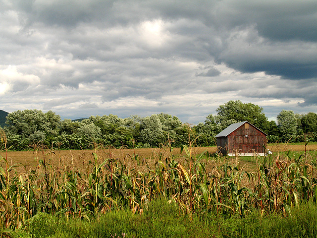 Barn, Storm