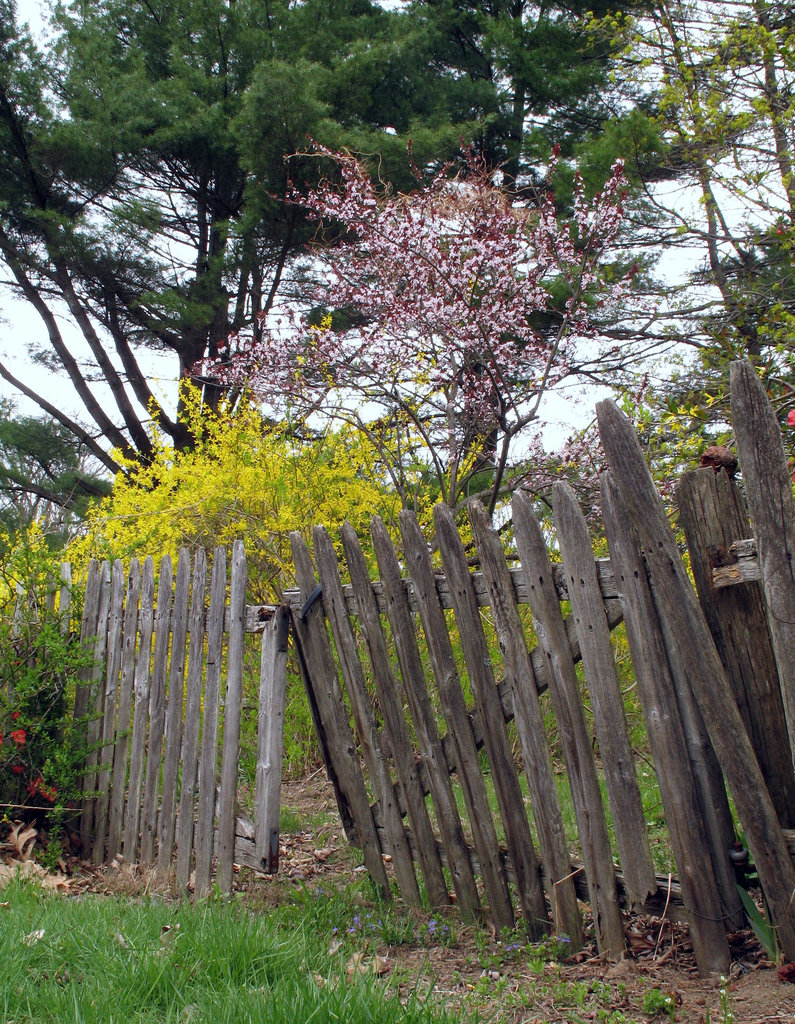 Fence Fatigue