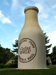 Milk Bottle