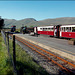 Train from Beddgelert