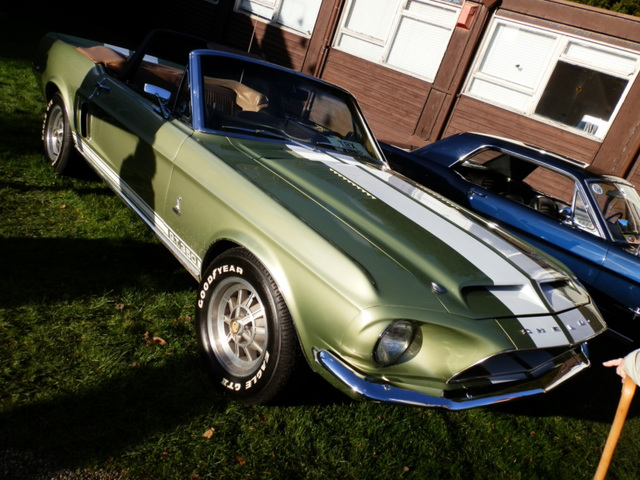 bgnydjan12013 (1503)