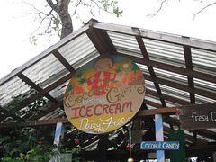 Coconut Ice Cream, Road to Hana
