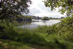 Aberdeenshire. Pitfour Estate (3)