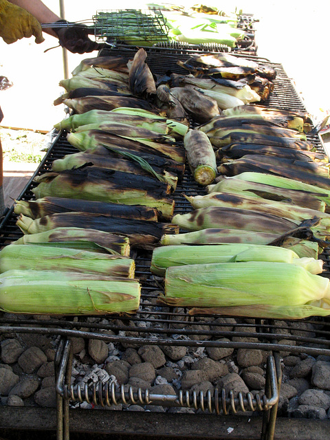 Roasting Corn