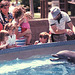 Sea World