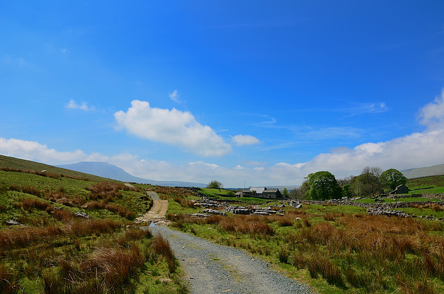 Ribblehead