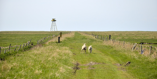 Nix wie weg!