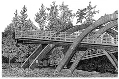 Hyperbolic Bridge