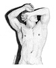 Torso #1
