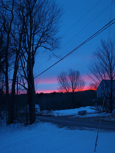 Off the back porch.