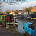 Jericho canalside in March