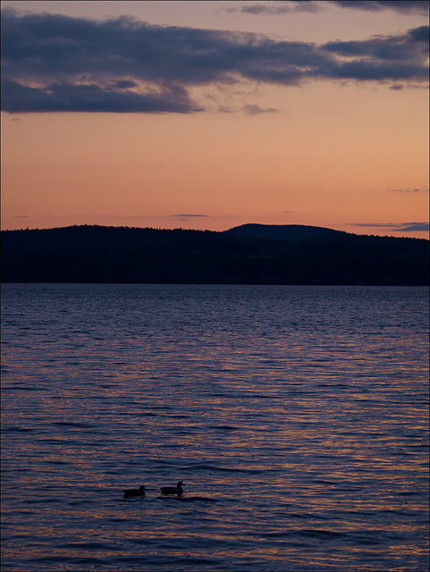 evening cruise