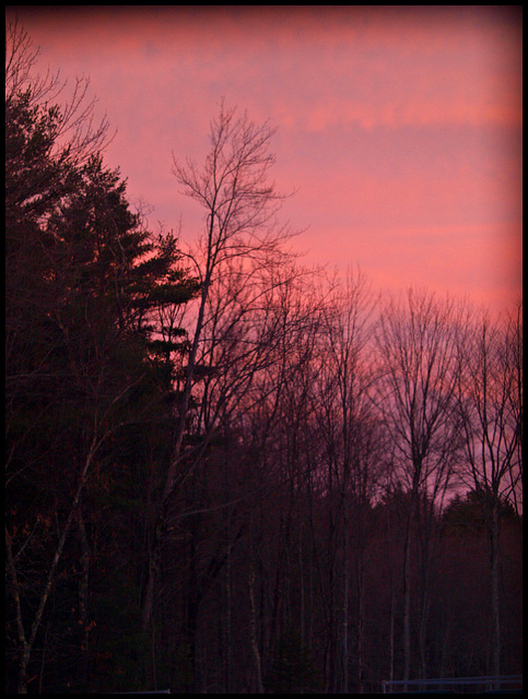 pink skies at night