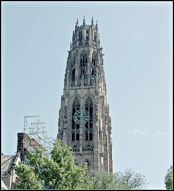 Yale