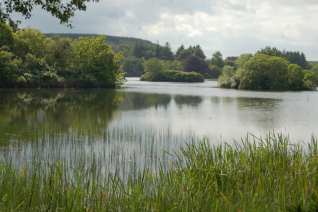 Aberdeenshire. Pitfour Estate (4)