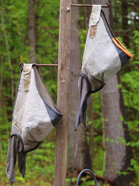 hung out to dry