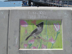 Chalk at the Seawall