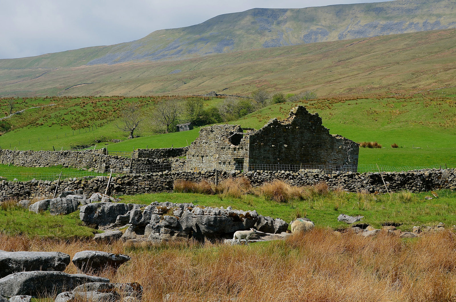 Ribblehead