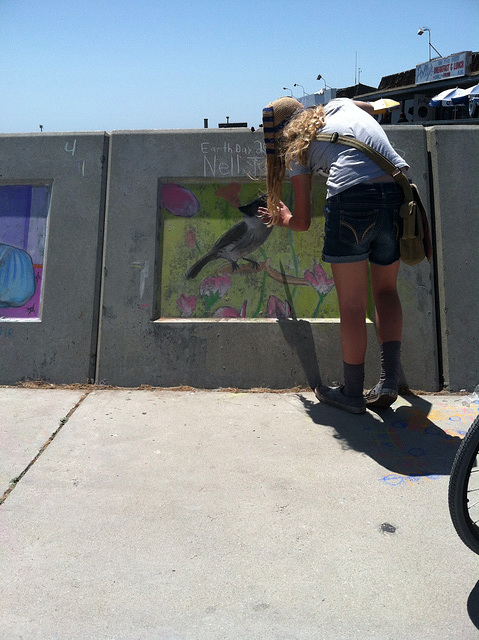 Chalk art challenge at redondo sea wall, 2013