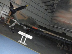 rafmh (1204)