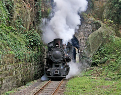 Afternoon train at the tunnel