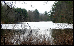 Lake Wintergreen