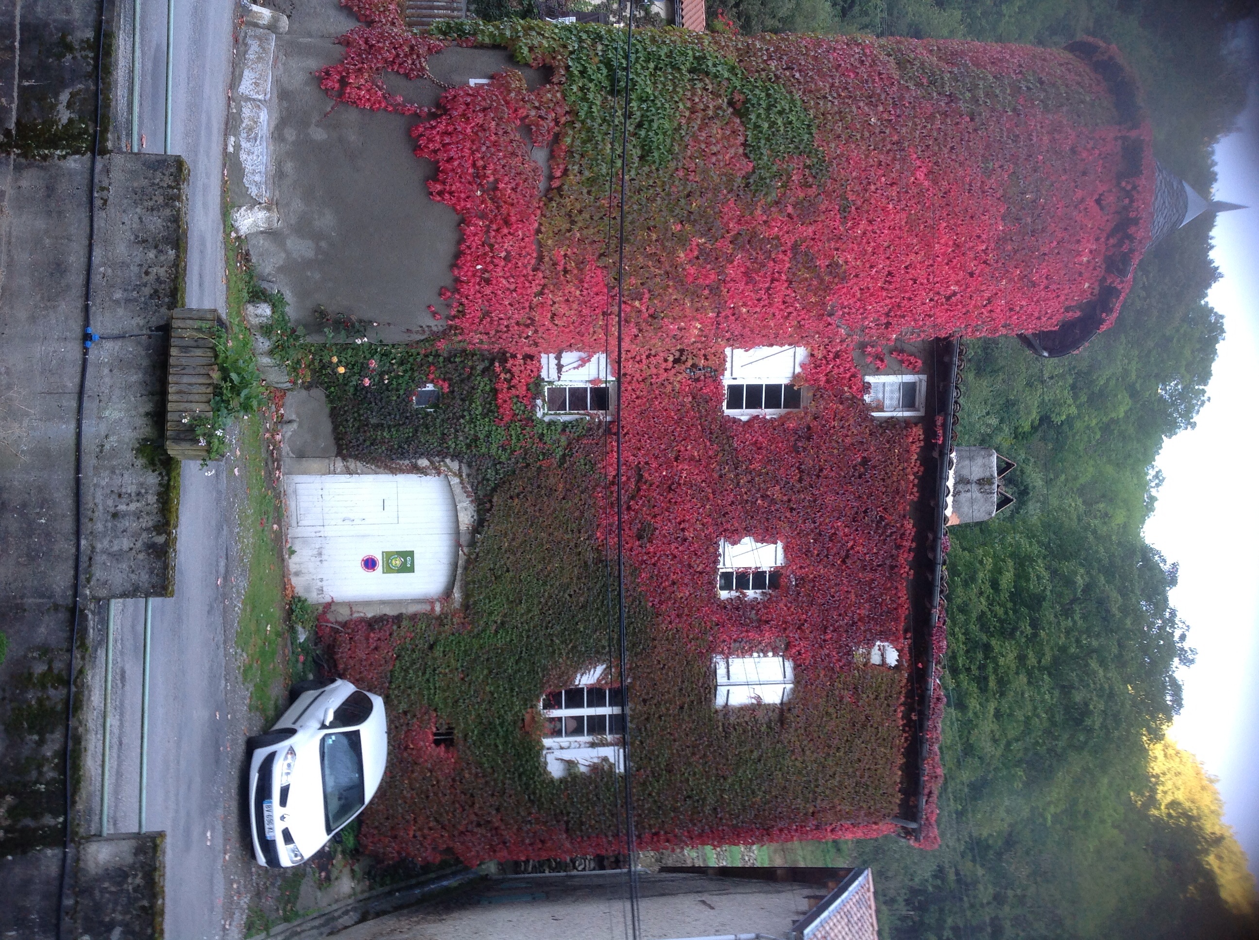 Ce matin par la fenêtre