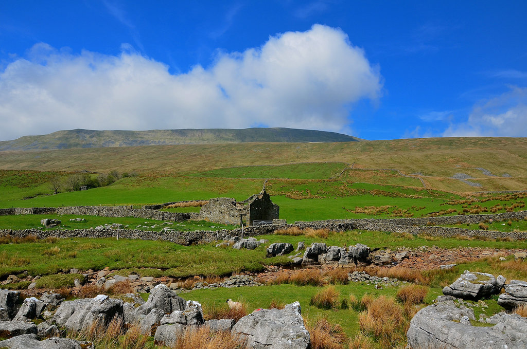 Ribblehead