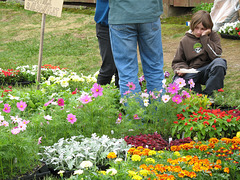 Bored among the flowers