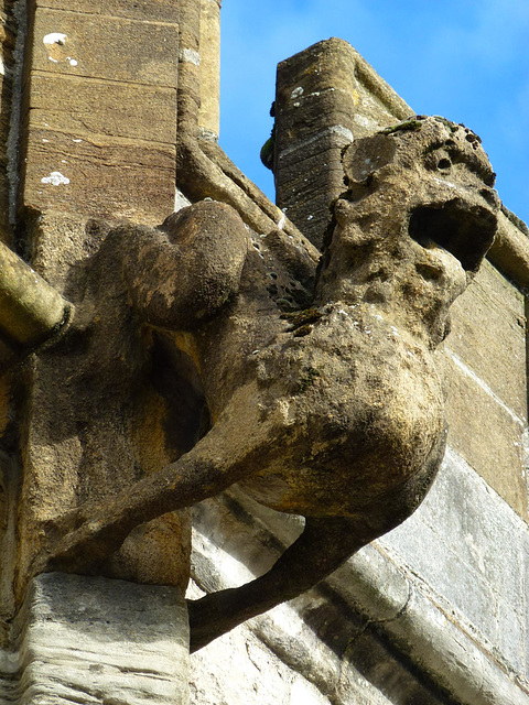 st.peter's church , dorchester, dorset st.peter's church , dorchester, dorset