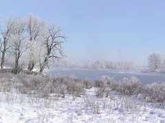 A winter scene