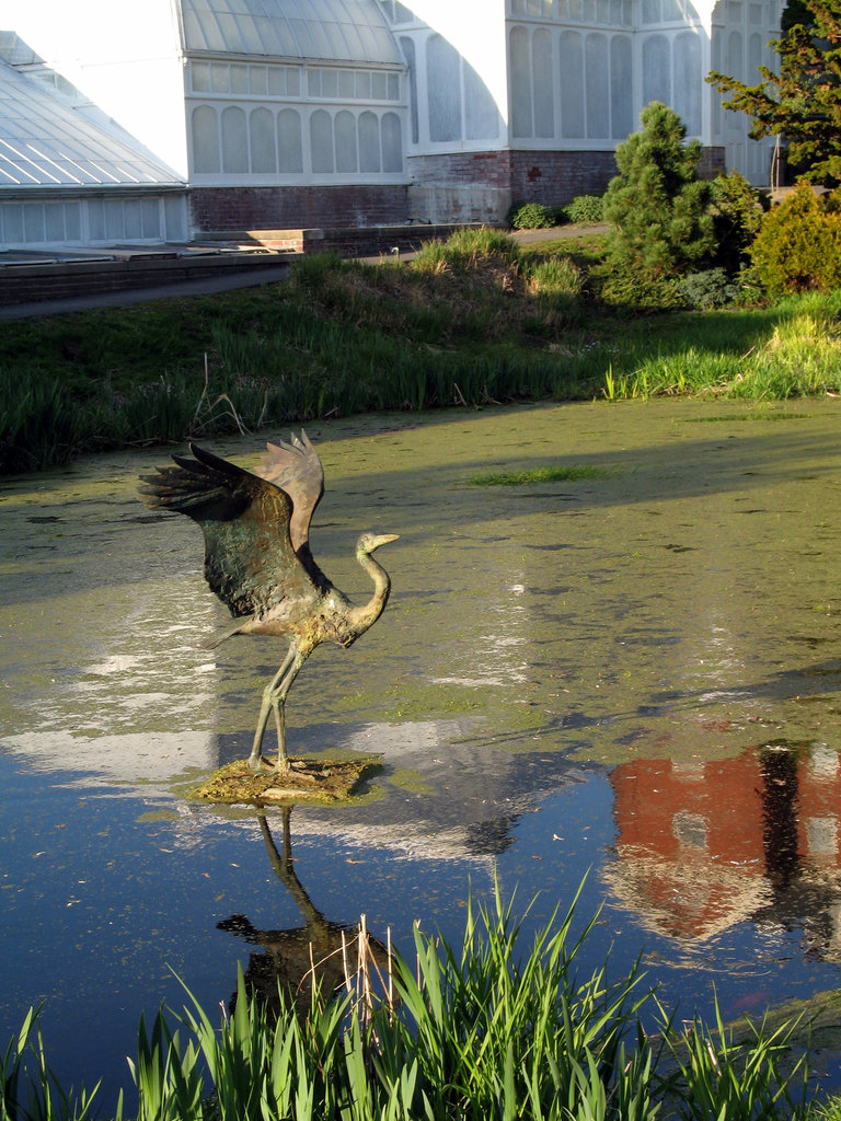 Frog Pond with Heron