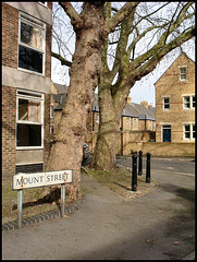 Mount Street corner