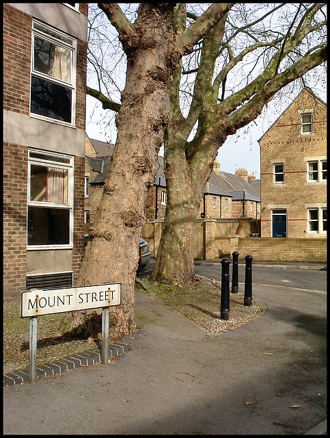 Mount Street corner