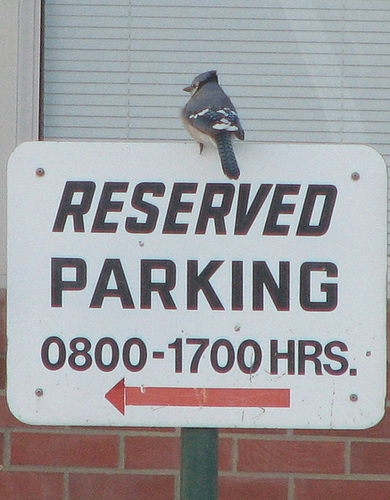 Saving my spot