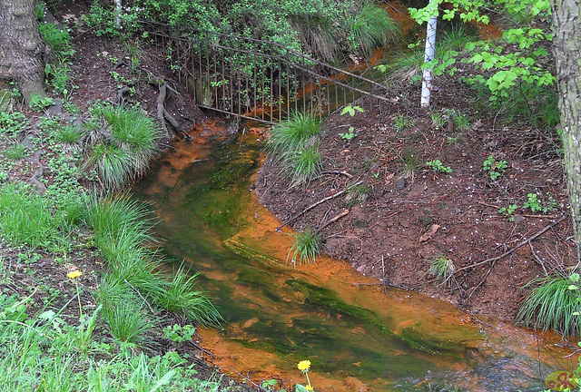 2013-05-09 13 Coschütz-Pesterwitz