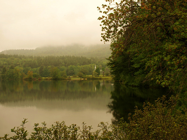 scenes from a back road