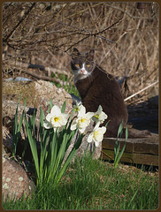 garden visitor