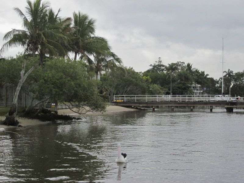 Noosa062013 057