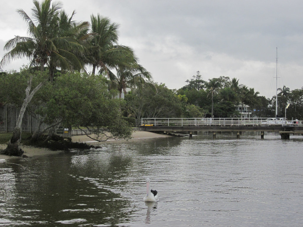 Noosa062013 057