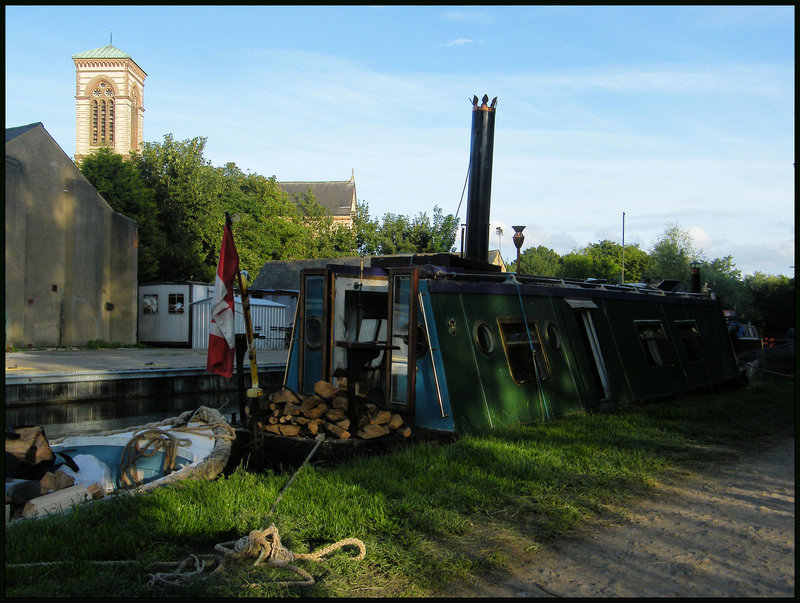Thrush Steamer at Jericho